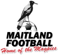 Magpies